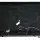Крышка в сборе для ASUS VivoBook X202E, B116XW03 V.0 Крышка 1